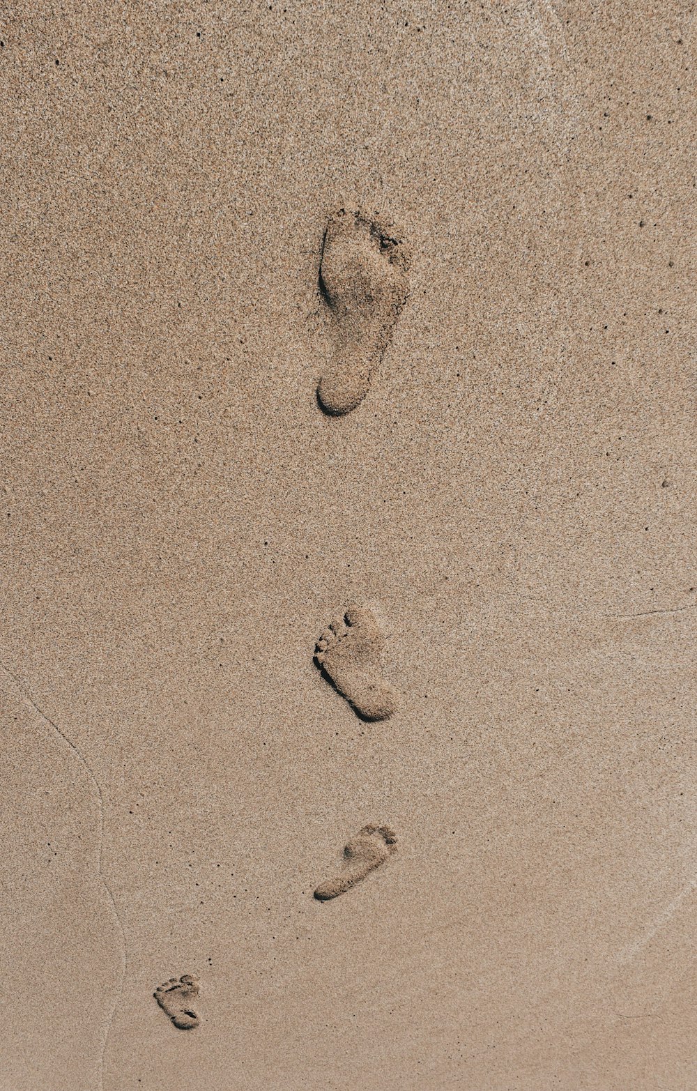 a group of small black and white objects on a white surface