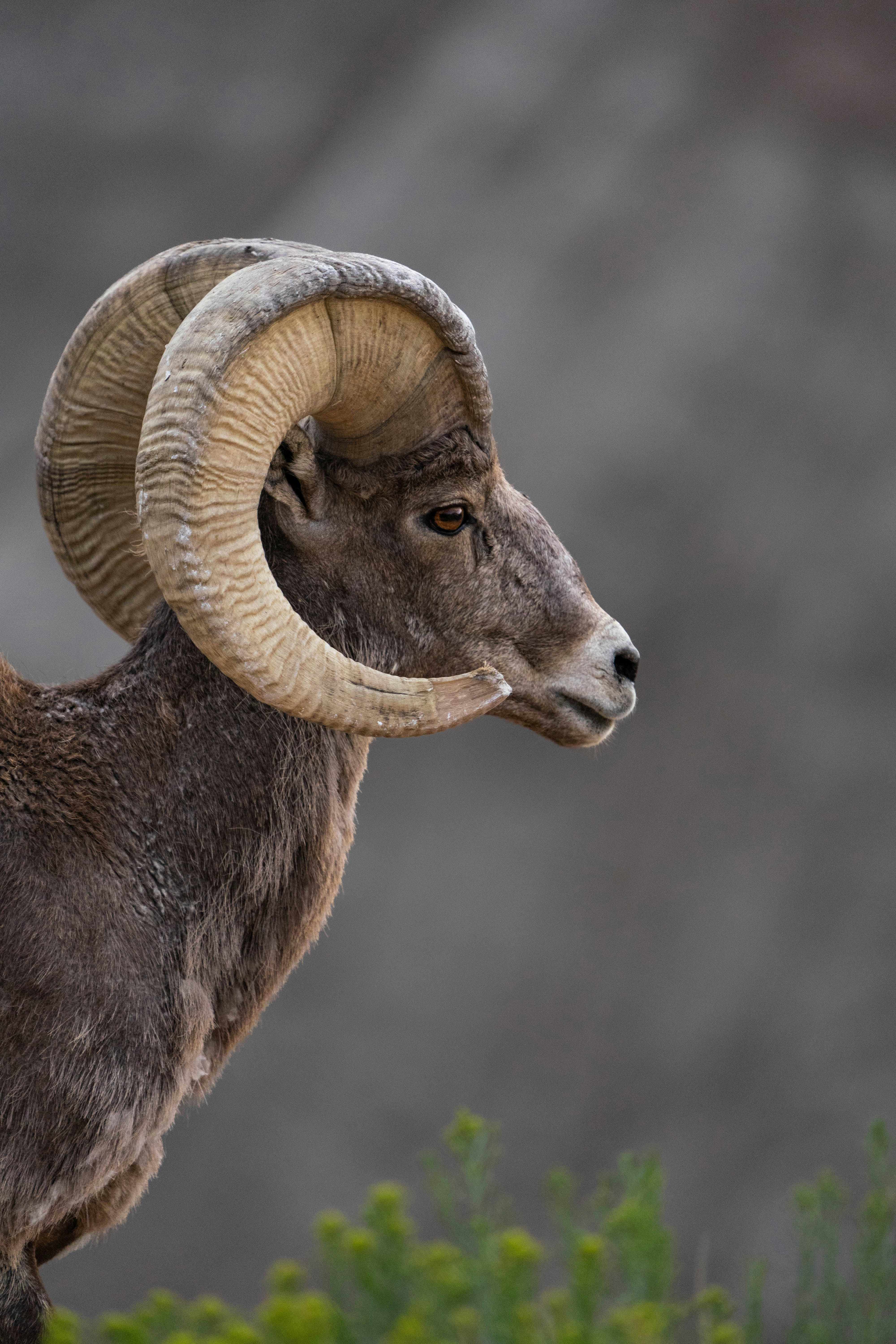 Photo by chasingbeauty