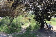 A peaceful garden area with benches and flowering plants, perfect for relaxation.