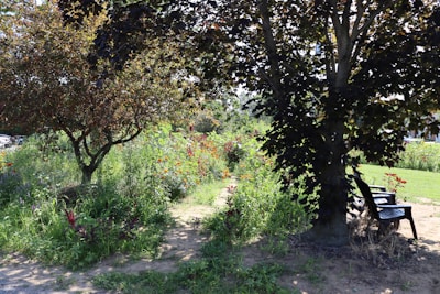 Beautiful garden area with walking paths and seating benches.
