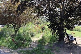 A peaceful garden area with benches and flowering plants, perfect for relaxation.