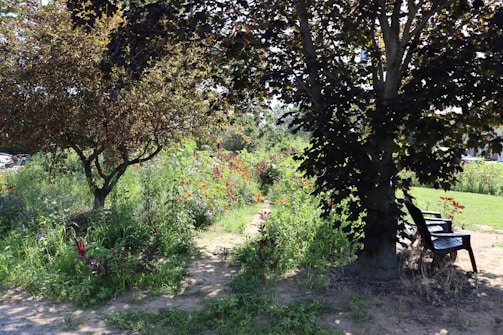 Beautiful garden area with flowering plants and seating.