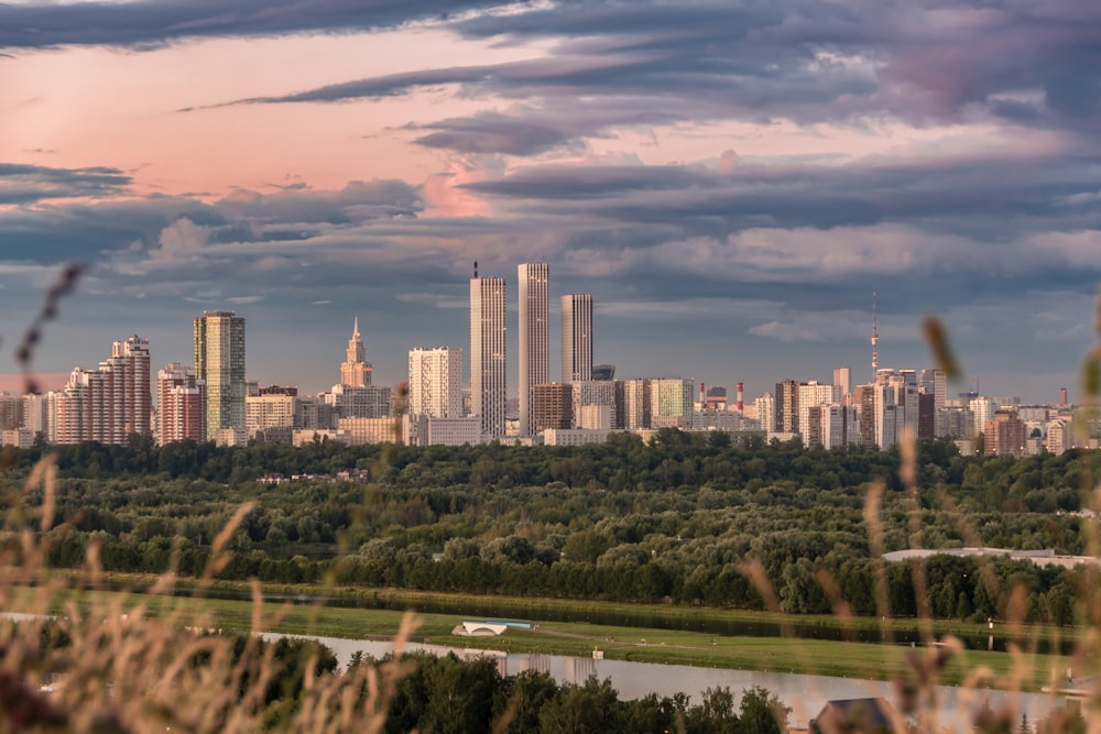 a city skyline with trees and water