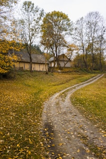 A winding dirt path through the countryside, lined with wildflowers and leading towards the cluster of minimalistic tiny homes.