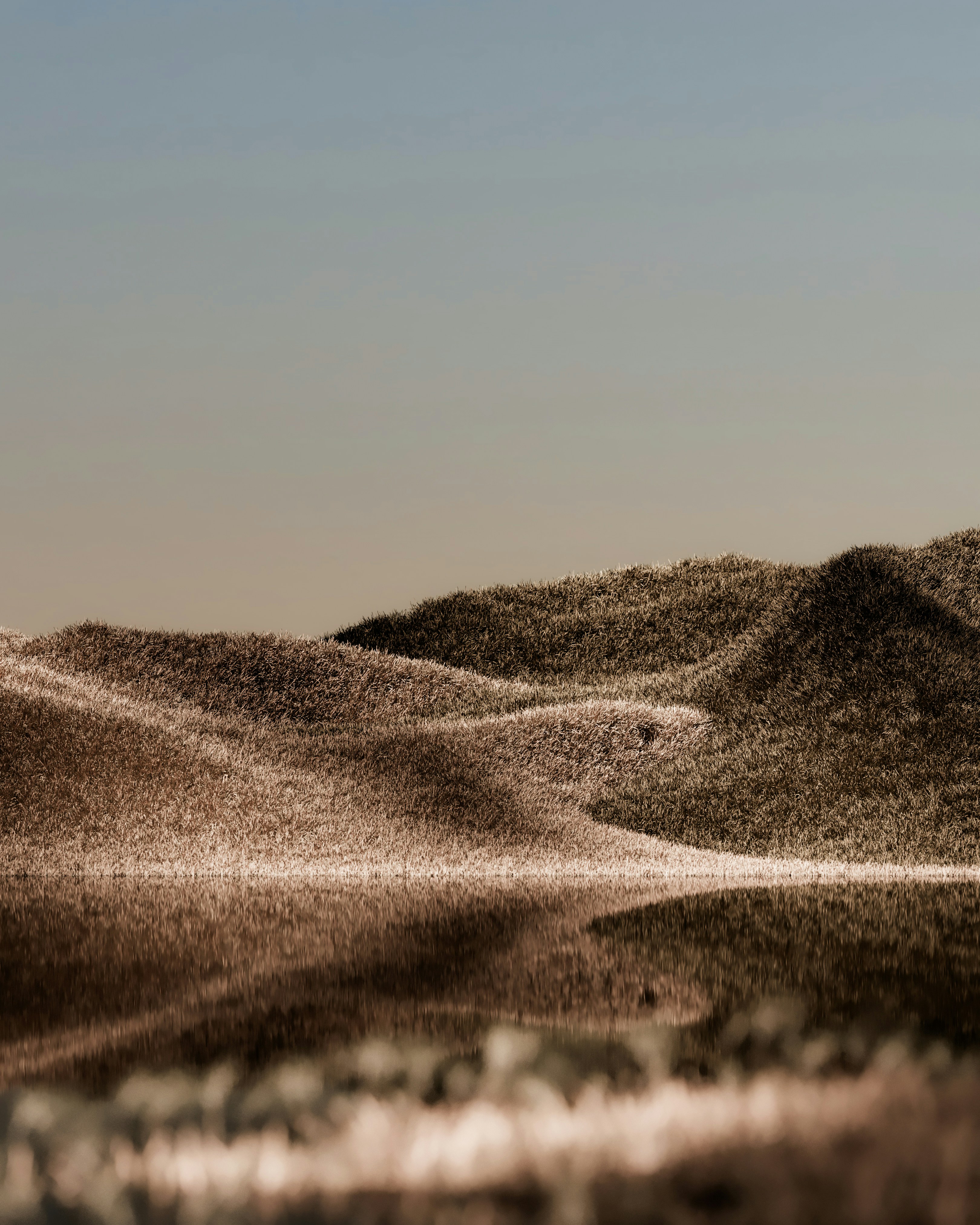 Photo by thekamranzadeh