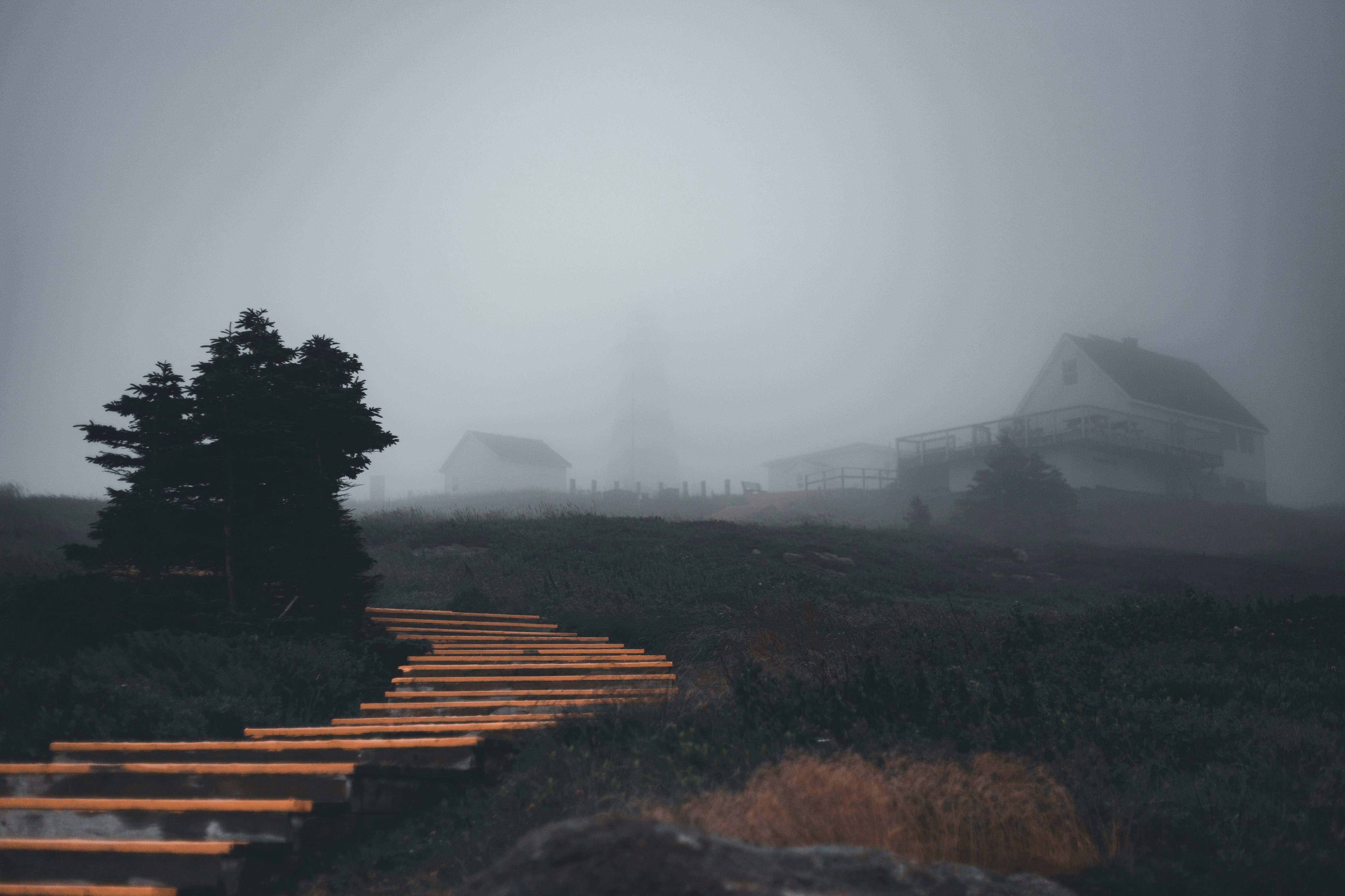 a foggy landscape with trees and buildings