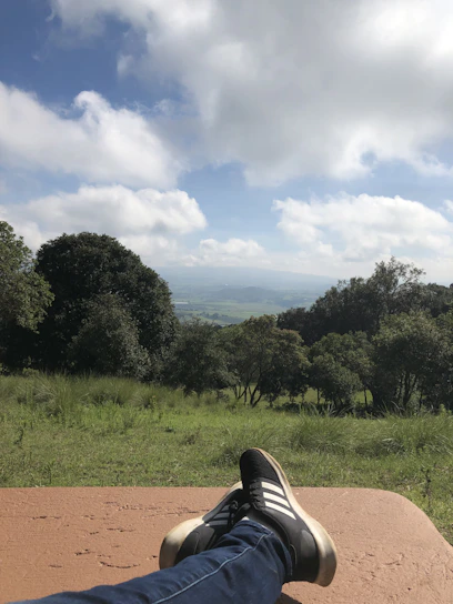 A peaceful scene of someone gently stretching their knee outdoors in soft morning light.