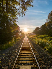train tracks with trees on either side