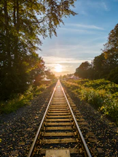 train tracks with trees on either side
