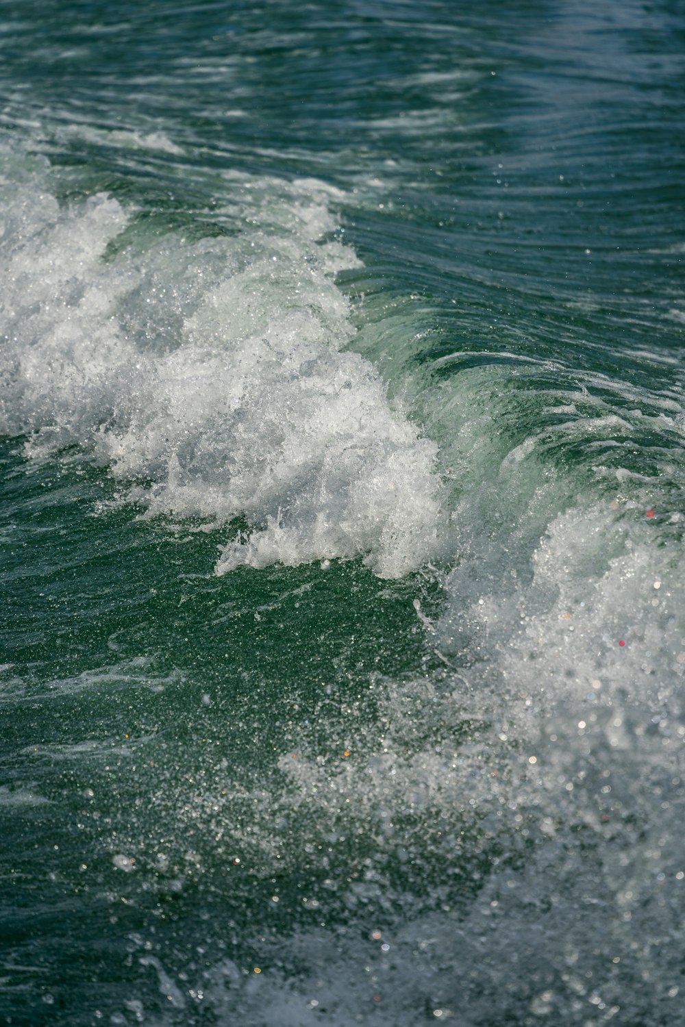 waves on a body of water