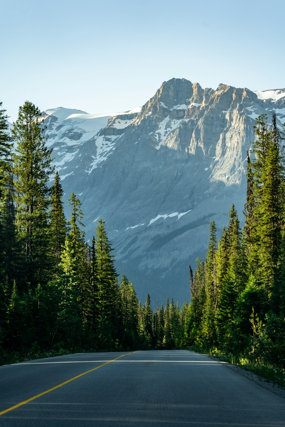 uma estrada com árvores e montanhas ao fundo