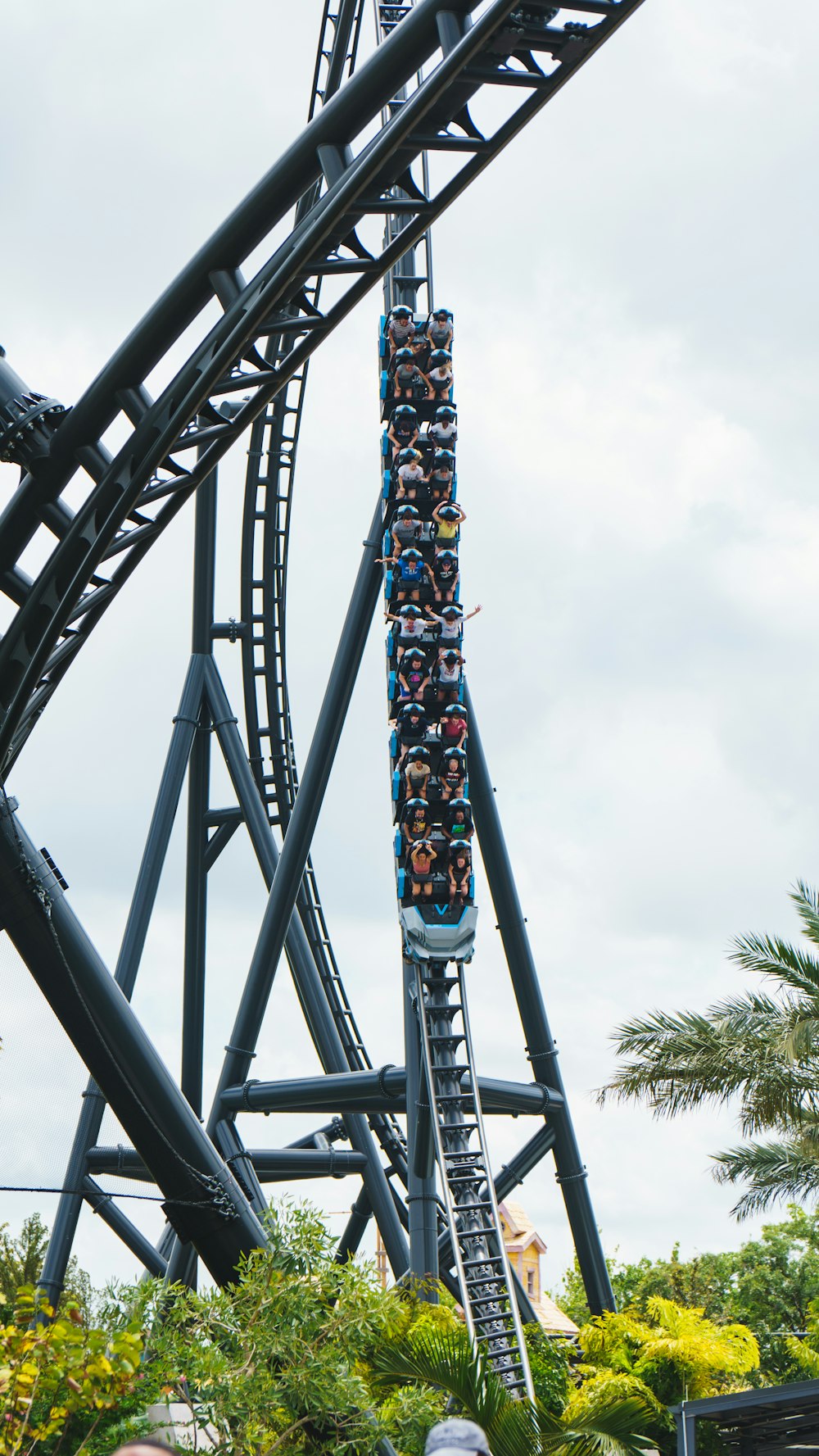 a roller coaster with trees and a cloudy sky