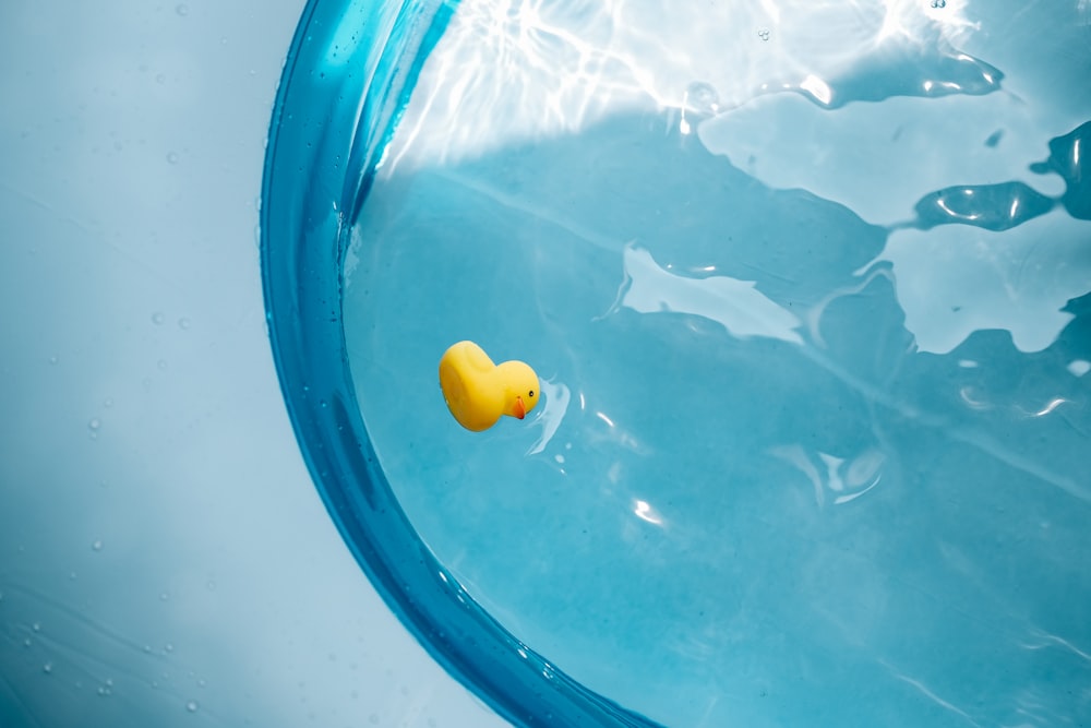 a yellow rubber duck in a blue bowl