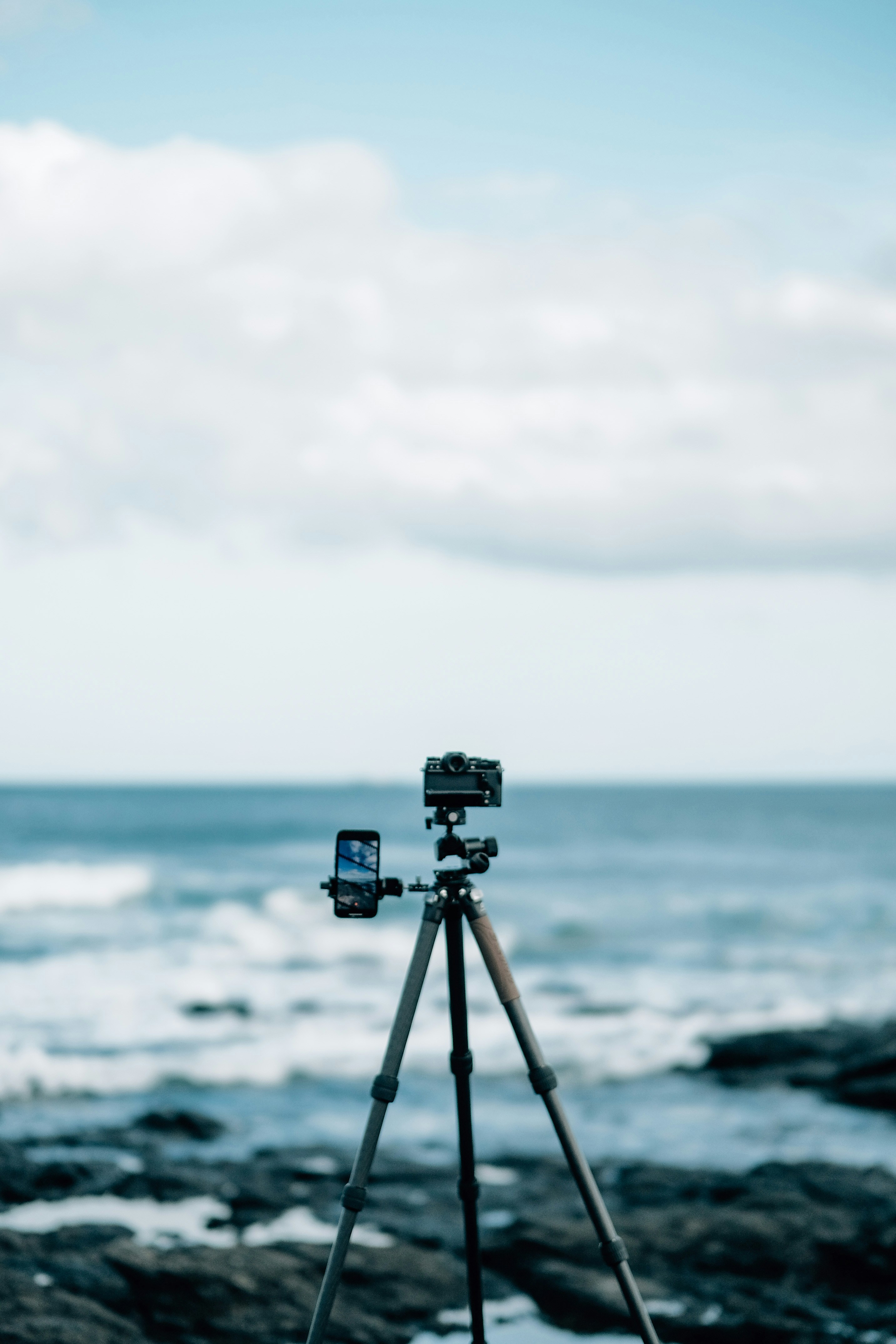 Photo by insungpandora