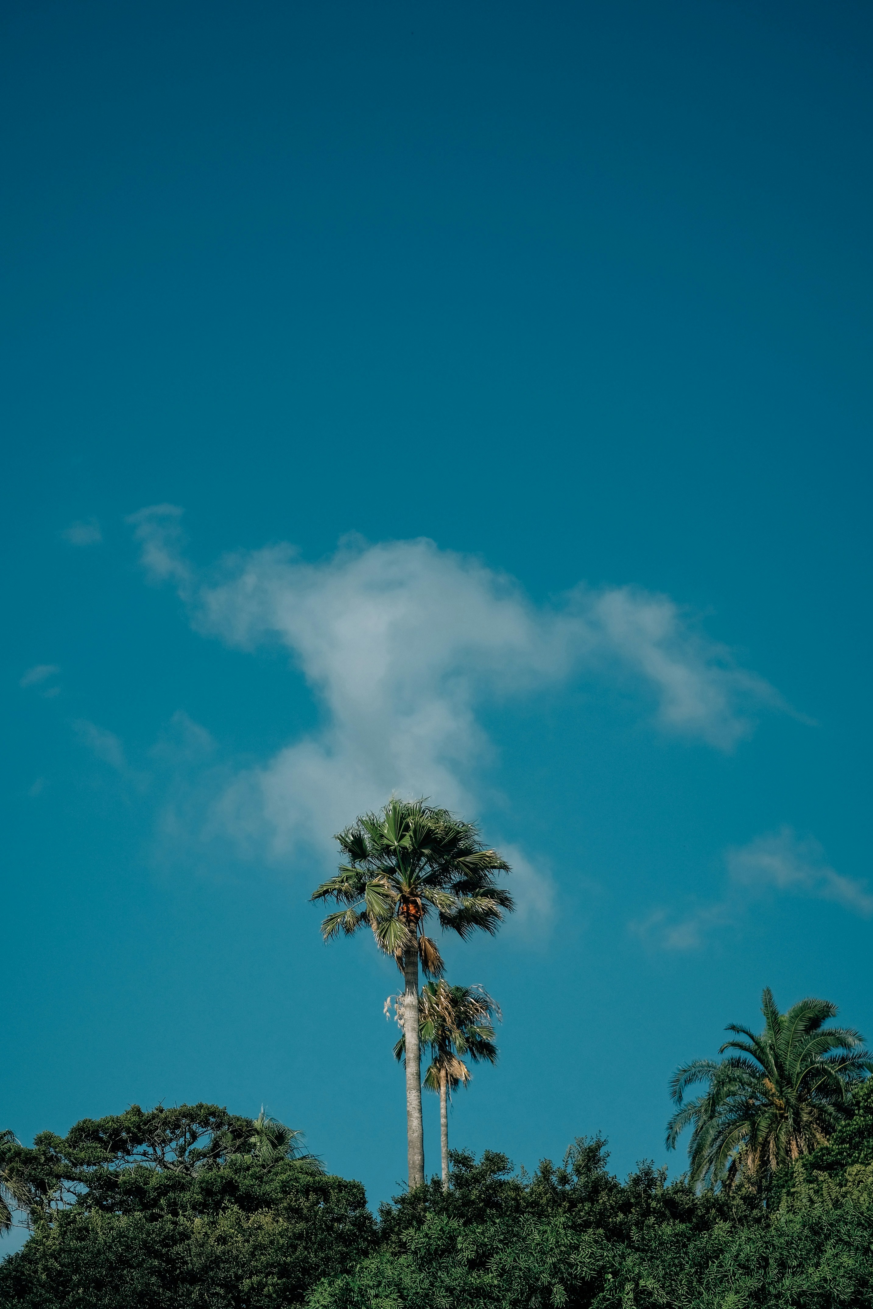 Photo by insungpandora