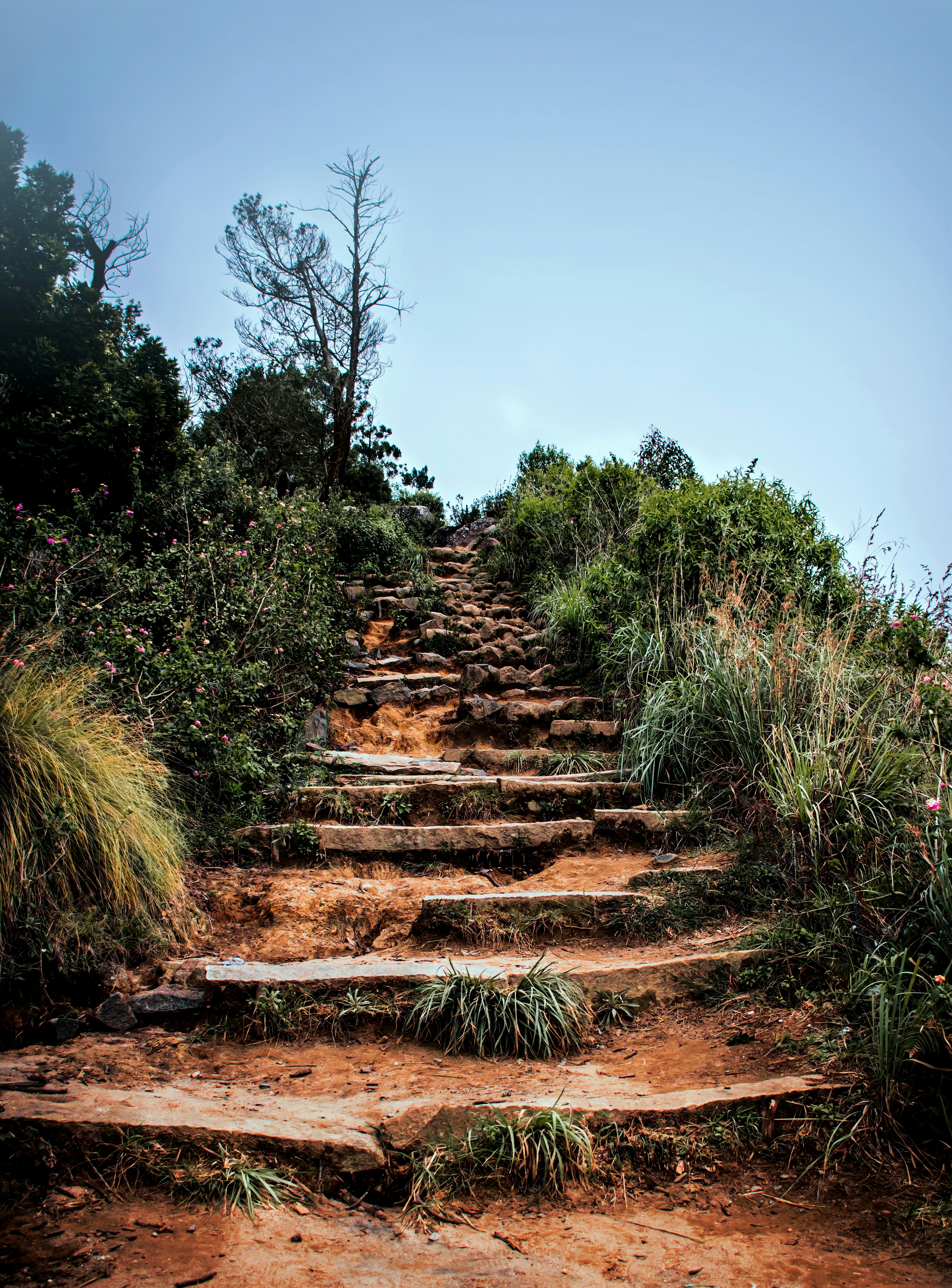 a small stone staircase in a garden with Manitou Incline in the background