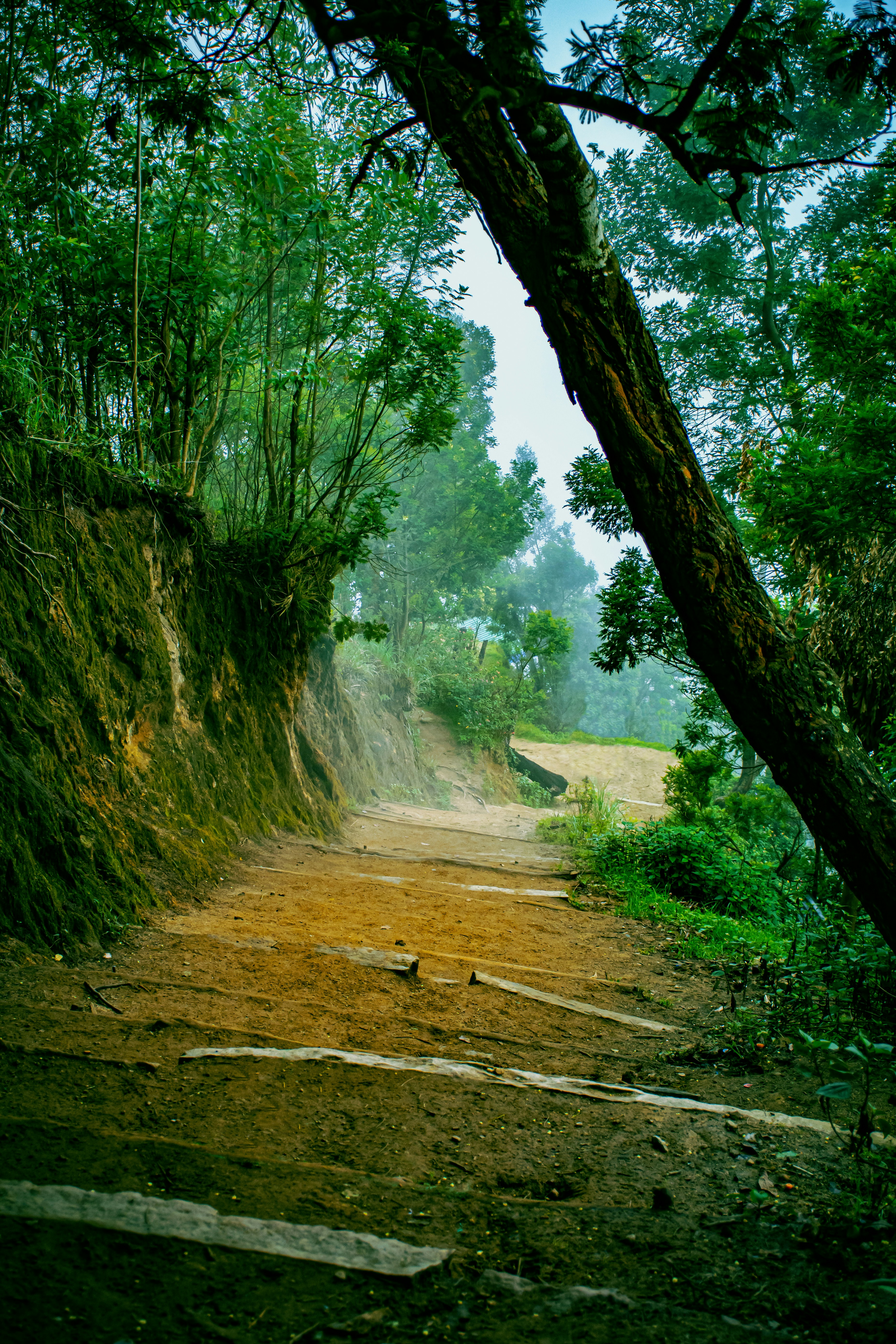 Photo by niranjan_maya