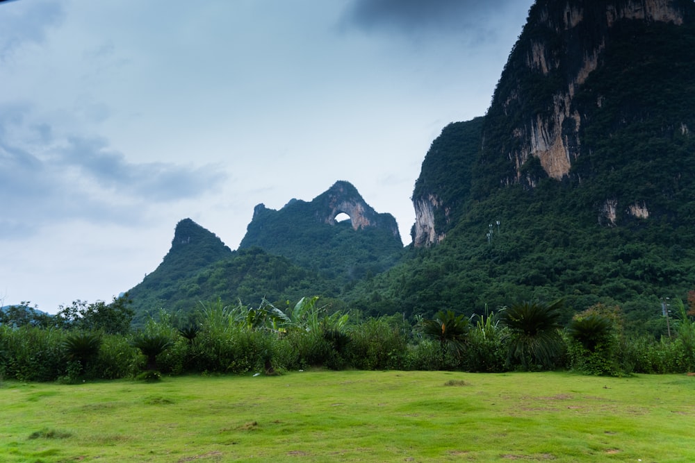 a grassy field with mountains in the background