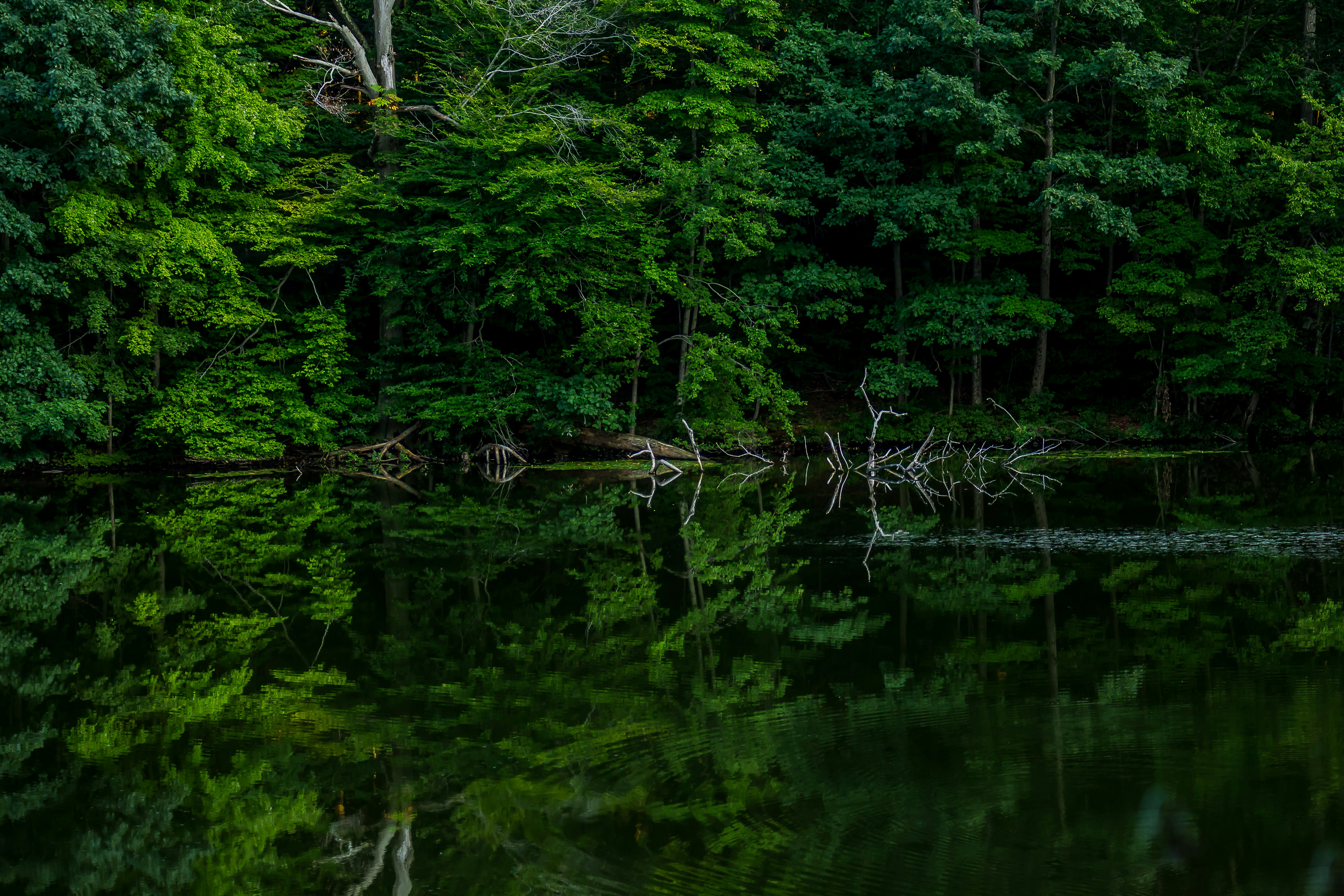 Photo by emmanuelphaeton