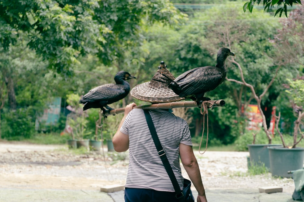 a person holding a group of birds