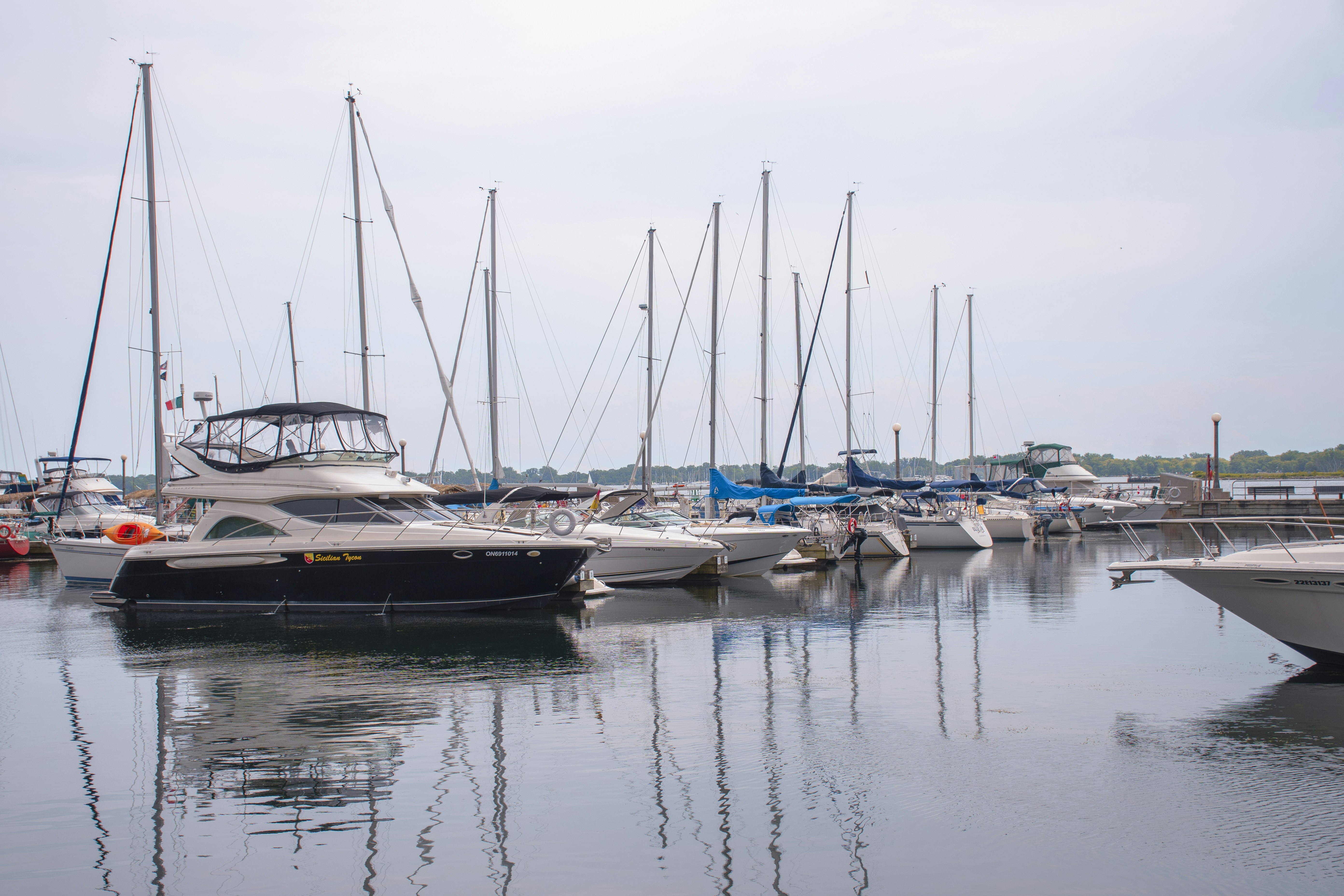 A group of boats sit in a harbor photo – Free Toronto Image on Unsplash