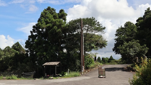A rural road curves gently through a lush, green landscape, bordered by tall trees and dense foliage. A wooden shed or shelter is situated to the side of the road, and there is a solitary pole, possibly a utility or light pole, near the center of the image. Clouds are visible in the blue sky, providing a serene backdrop.