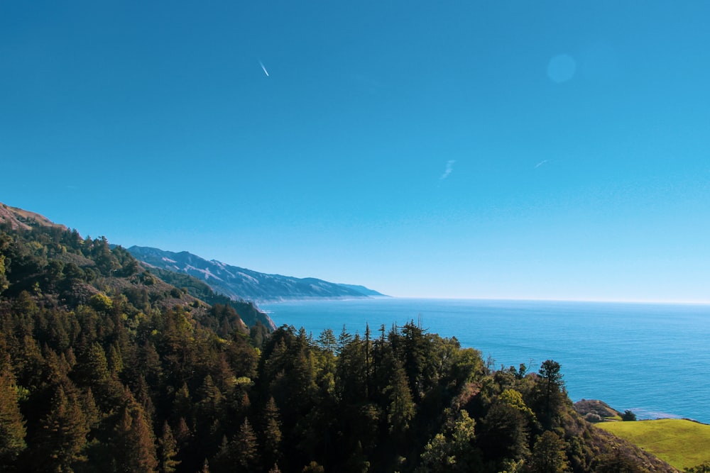 a landscape with trees and water in the background