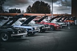 A lineup of various cars ready for inspection in an outdoor lot