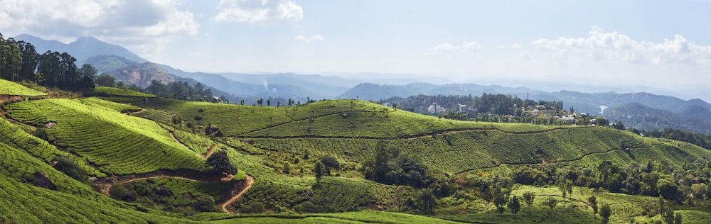 a green hilly landscape