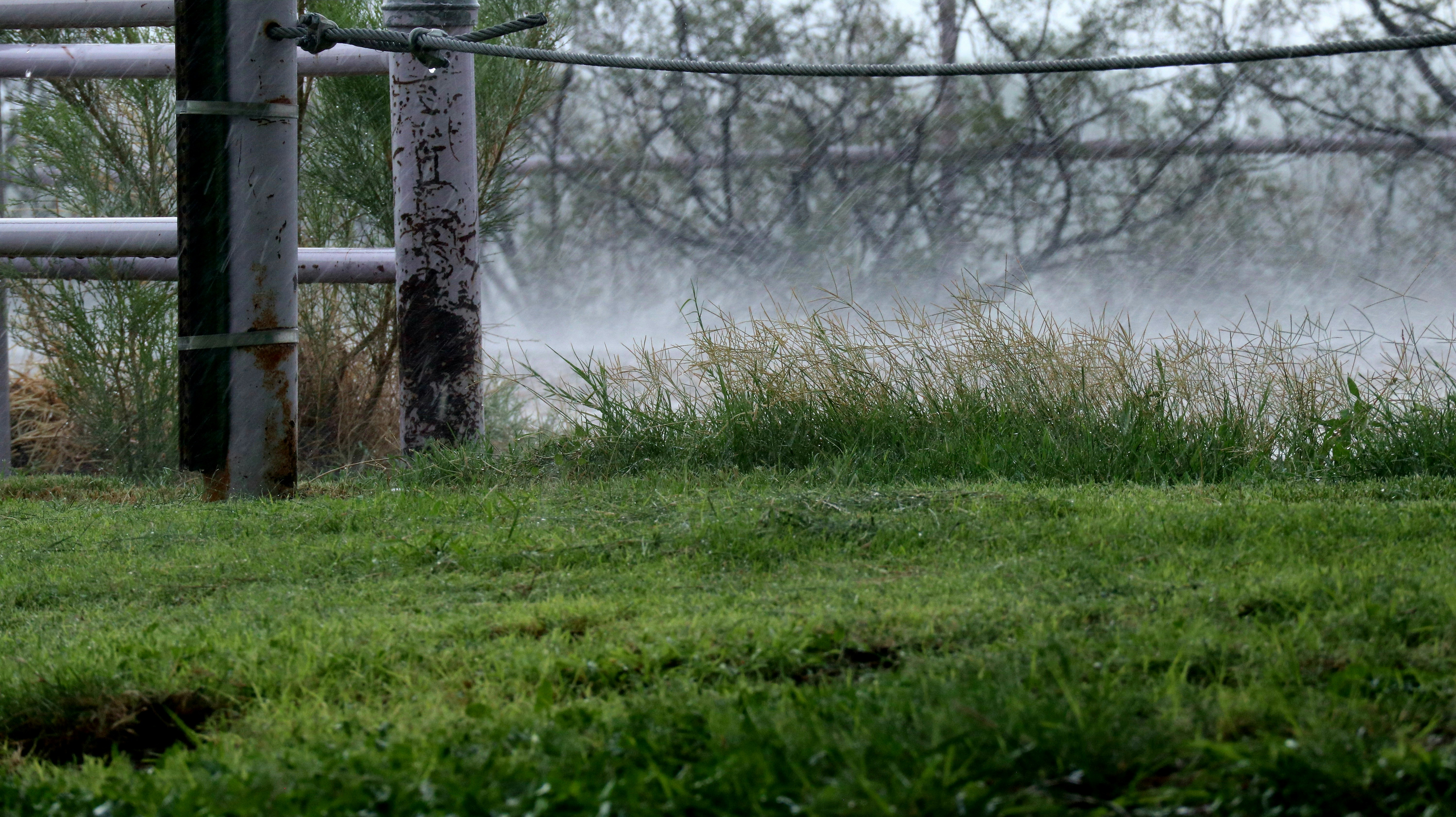 Sprinkleranlage in Aktion