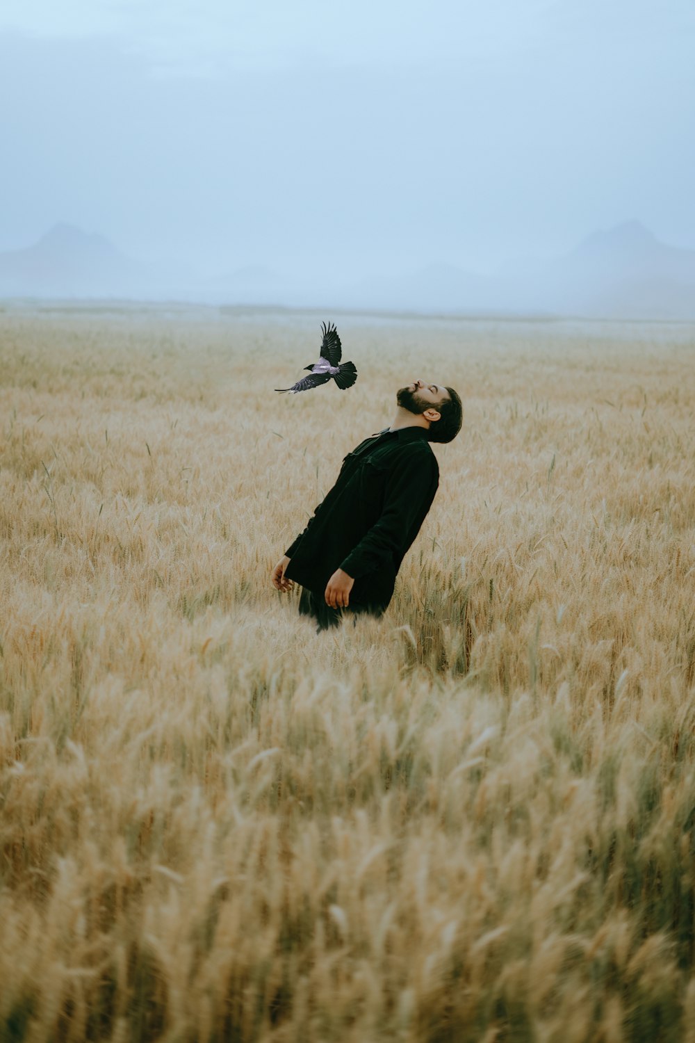 a person kneeling in a field with a bird flying in the air