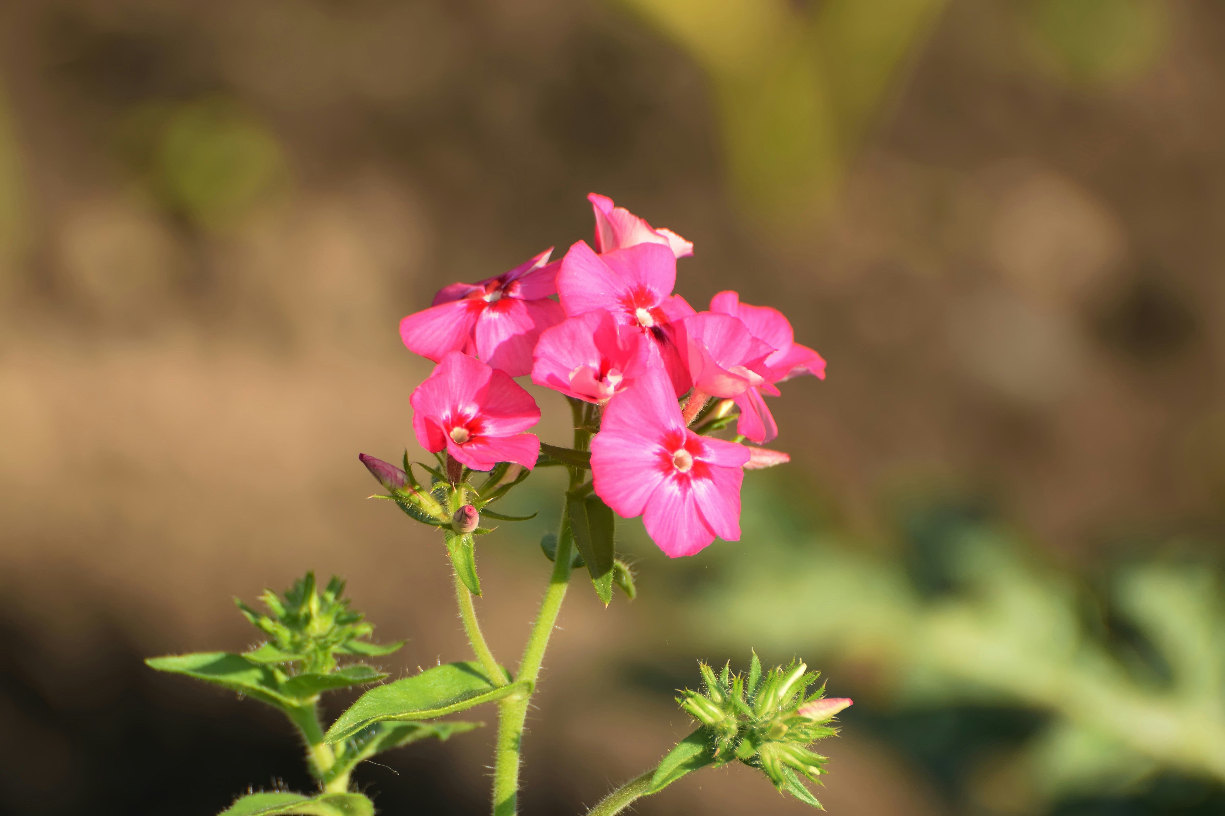 Photo by azxa661