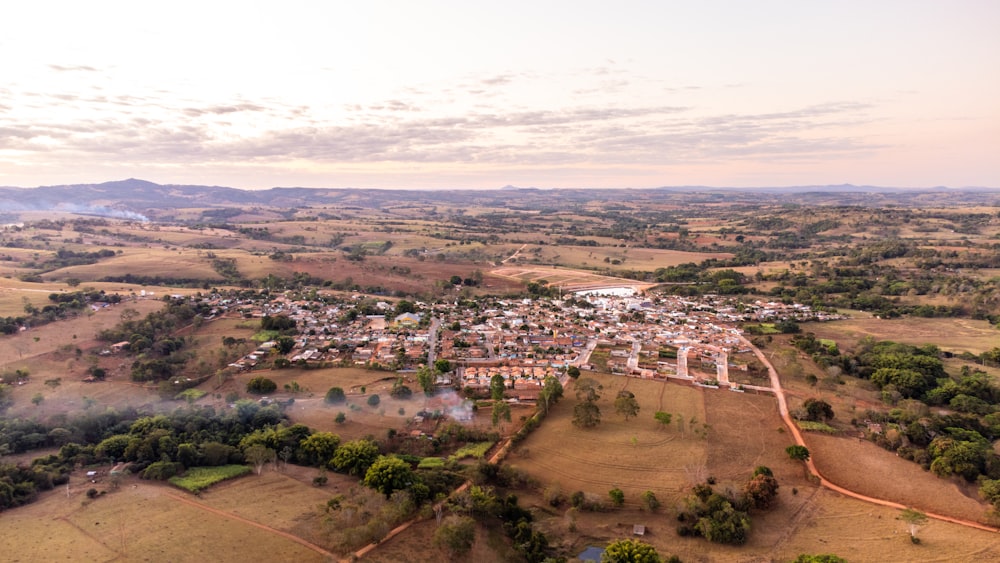 Un paisaje con árboles y edificios