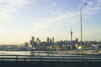 a city skyline with a river