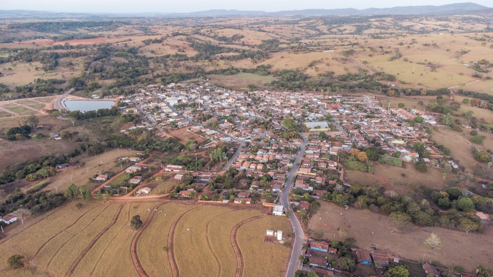 Un paisaje con árboles y edificios