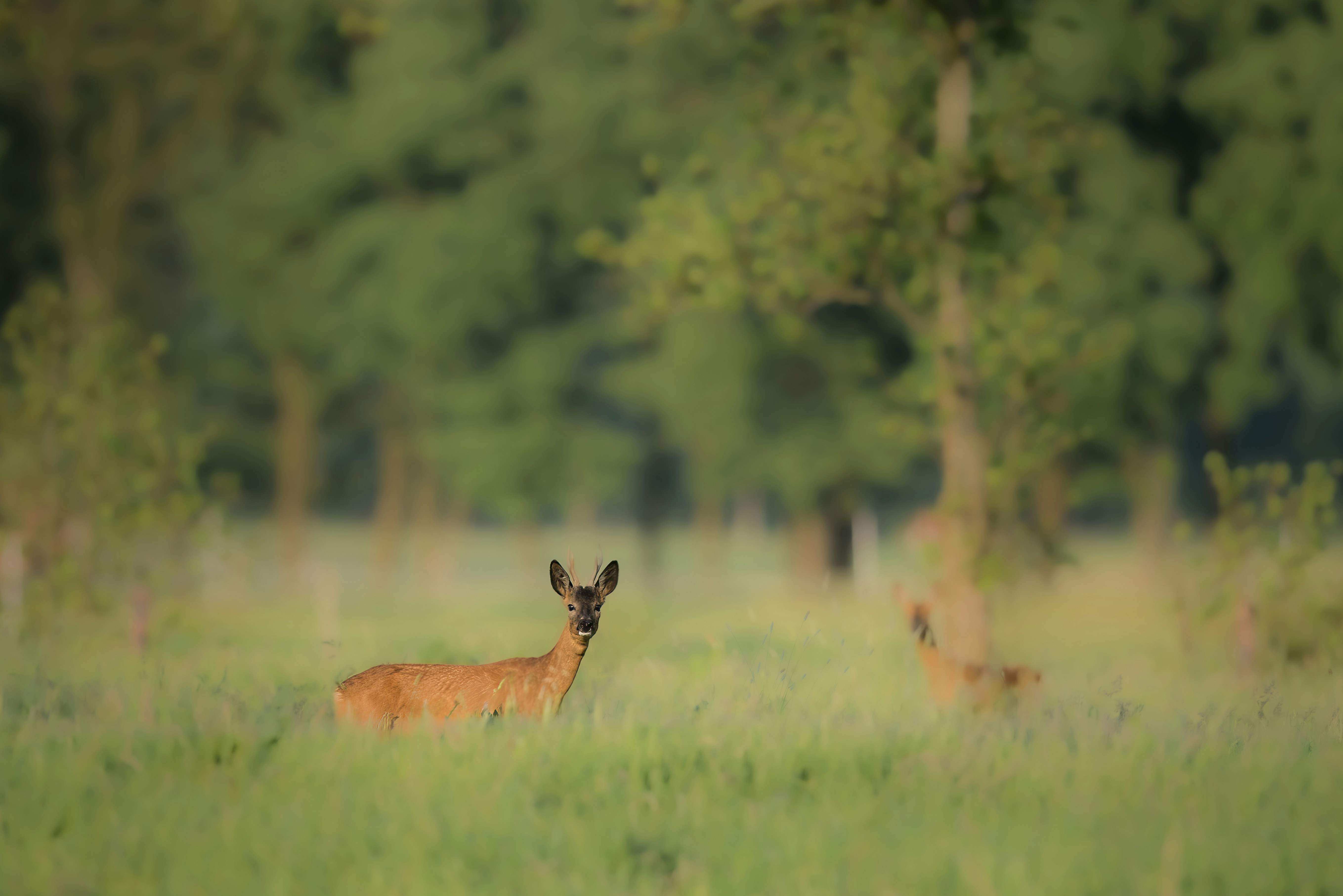 Photo by vincentvanzalinge