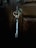 A metallic key hangs from a heart-shaped keyring inserted into a lock on a wooden door. The background is dimly lit, emphasizing the rustic texture and dark color of the wood.