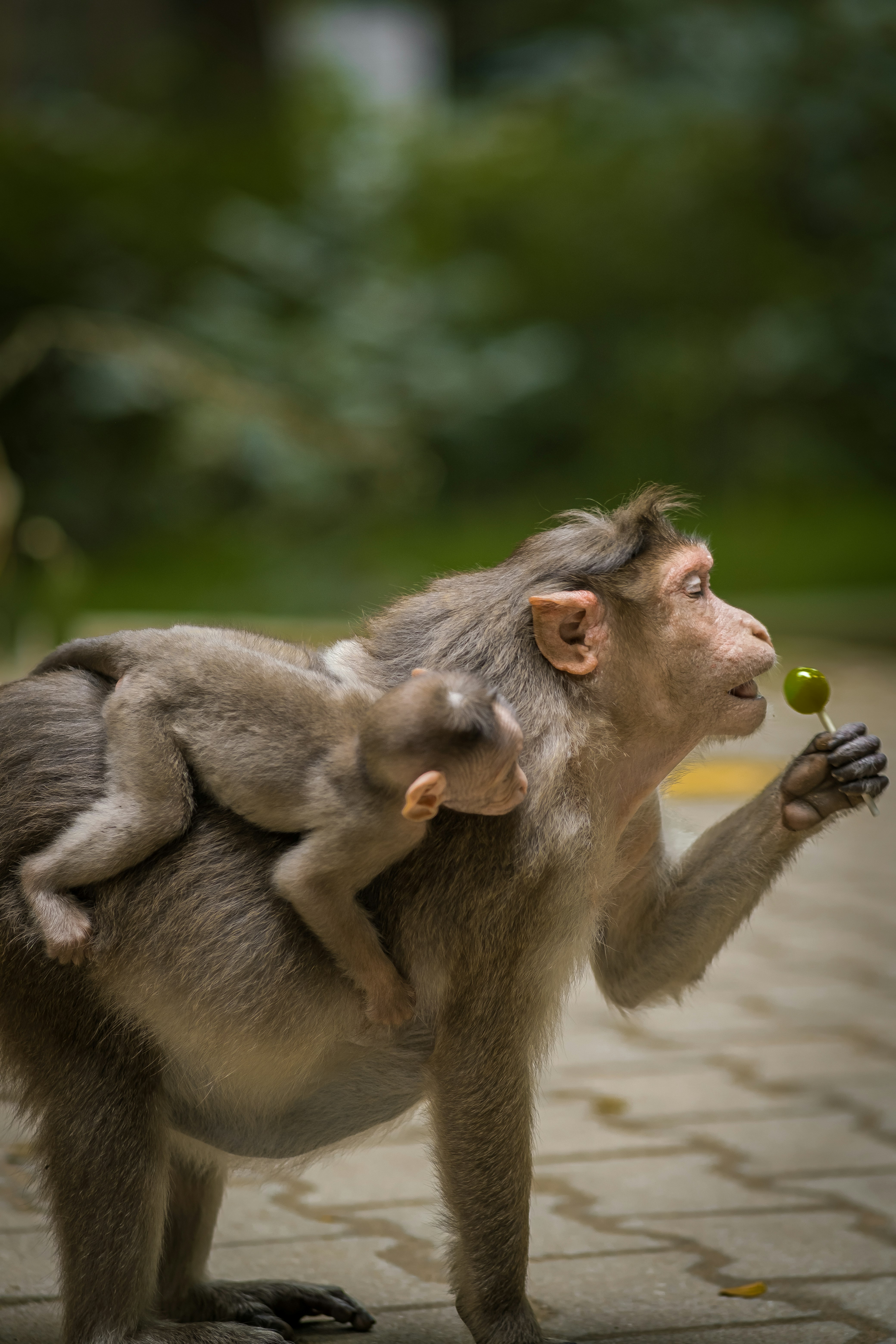 Photo by shotbyaneel