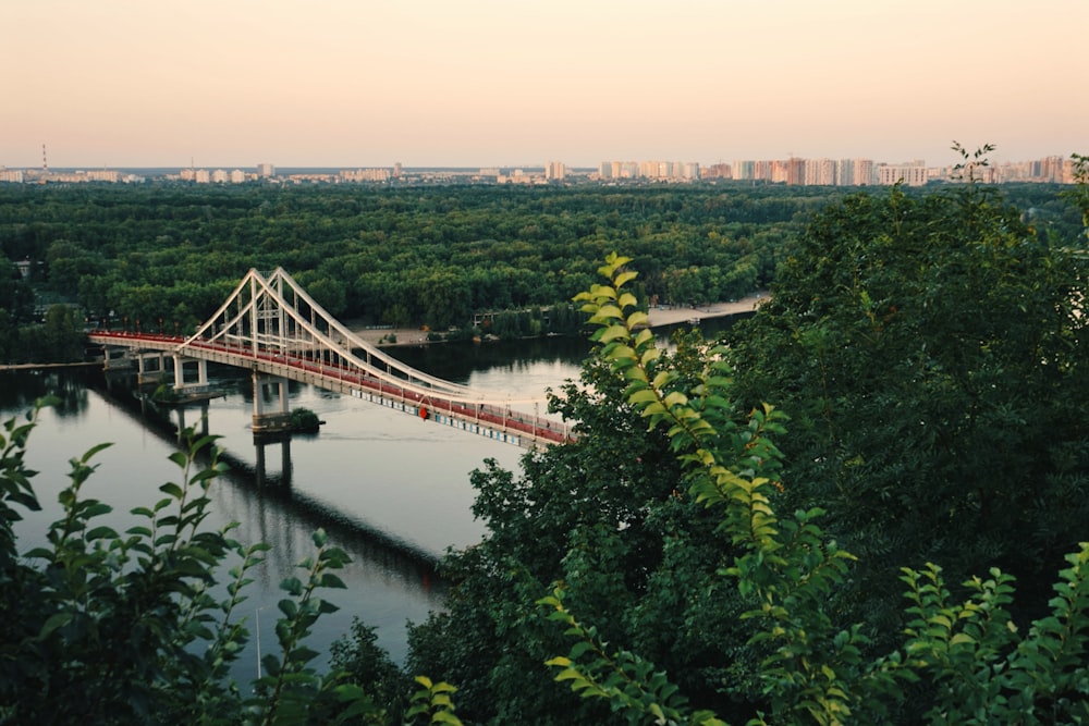 a bridge over a river