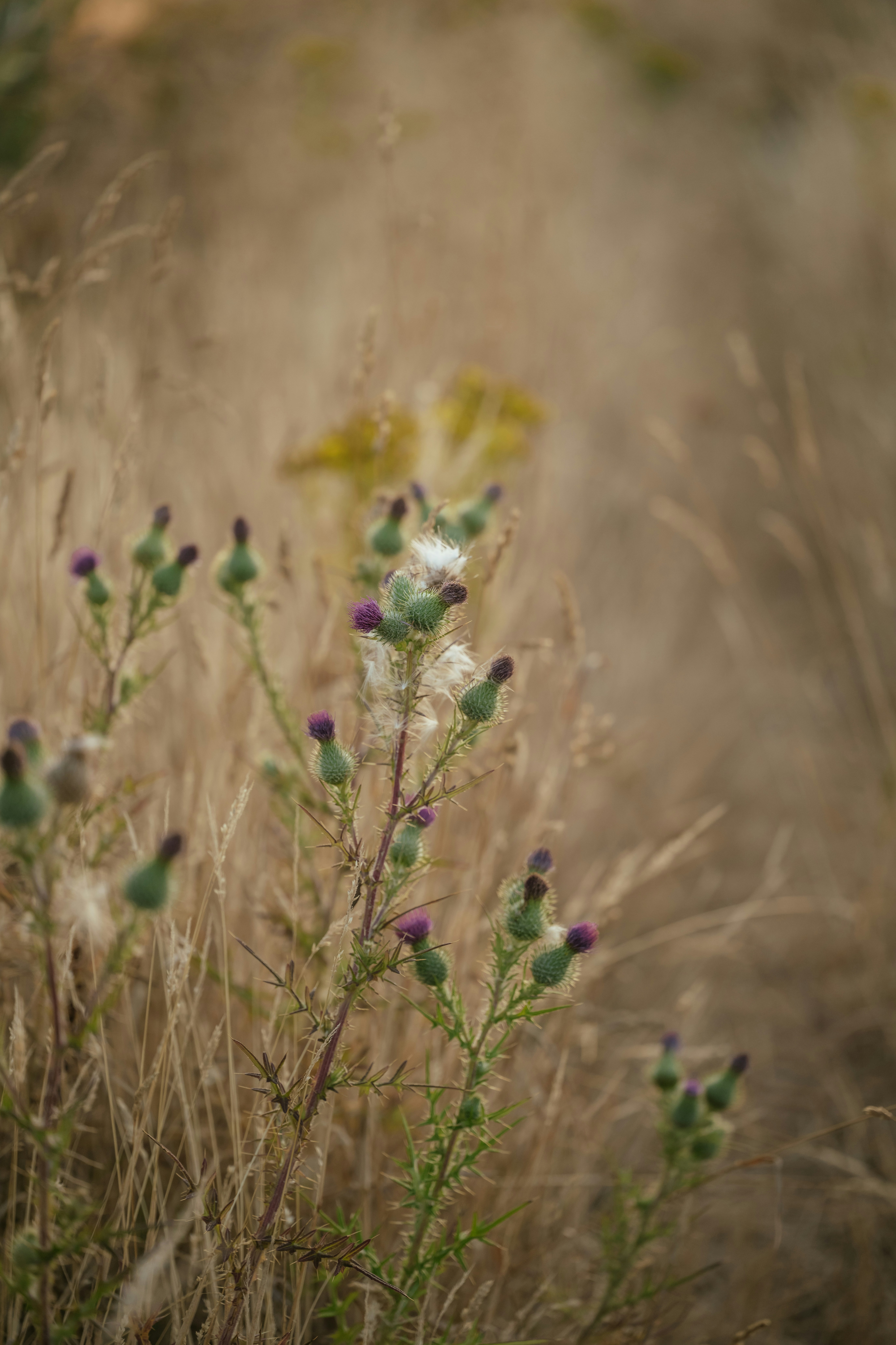 Photo by anniespratt