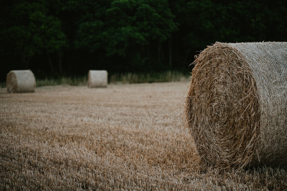 a group of bales of hay