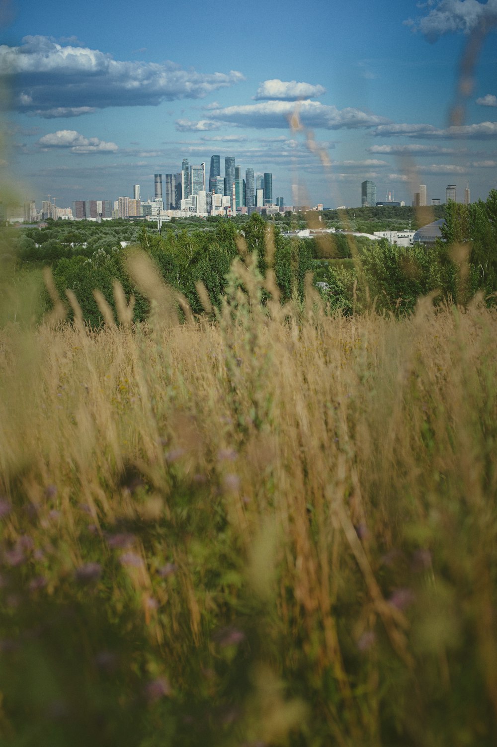 a grassy area with a city in the background