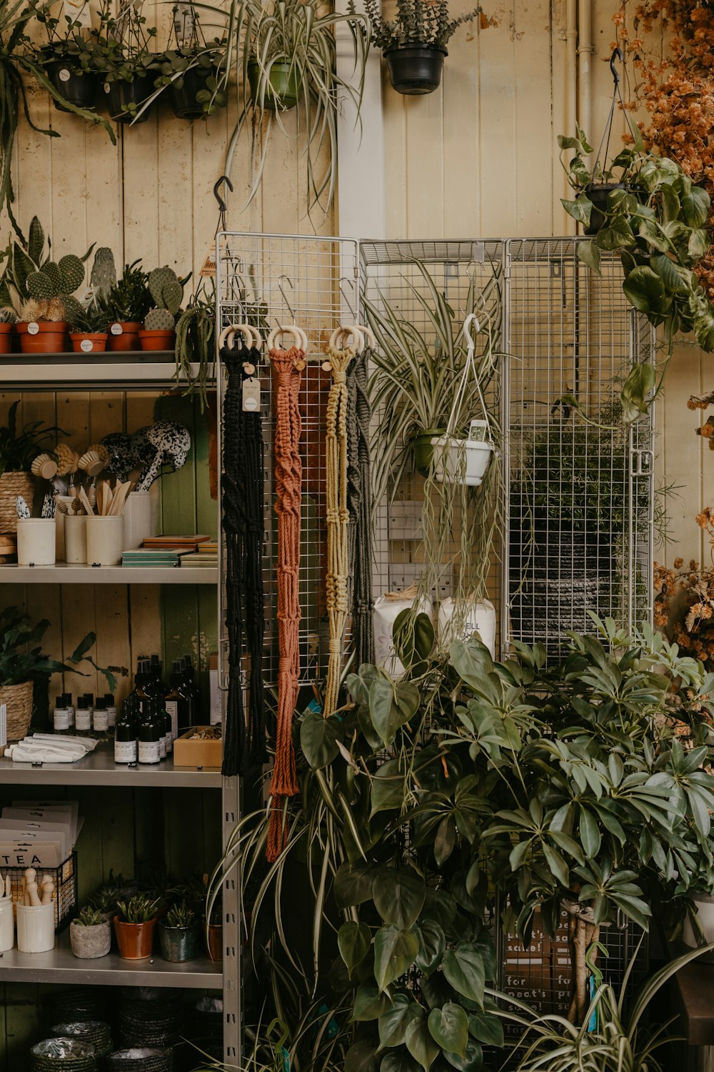 a bird cage with plants in it