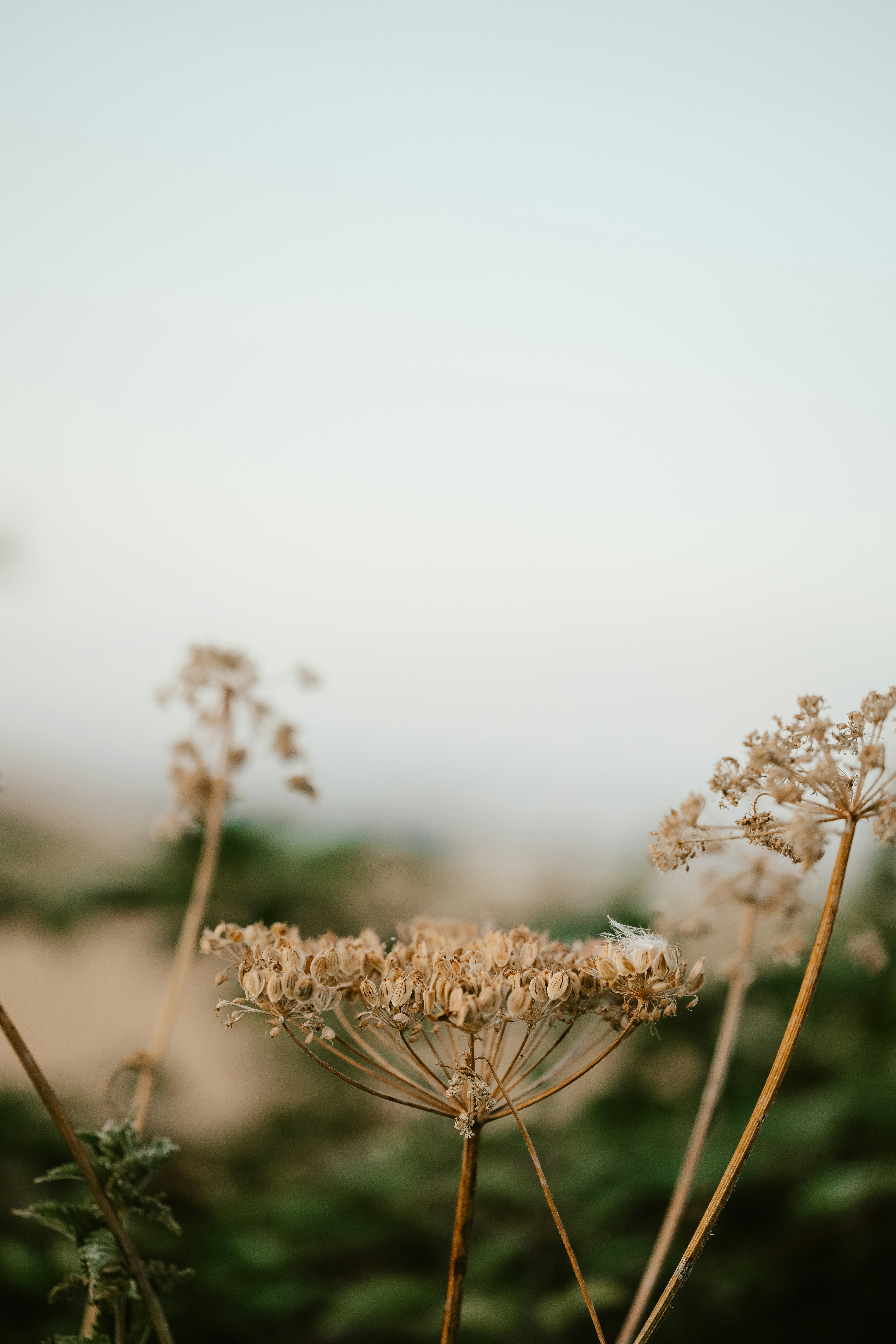 Photo by anniespratt