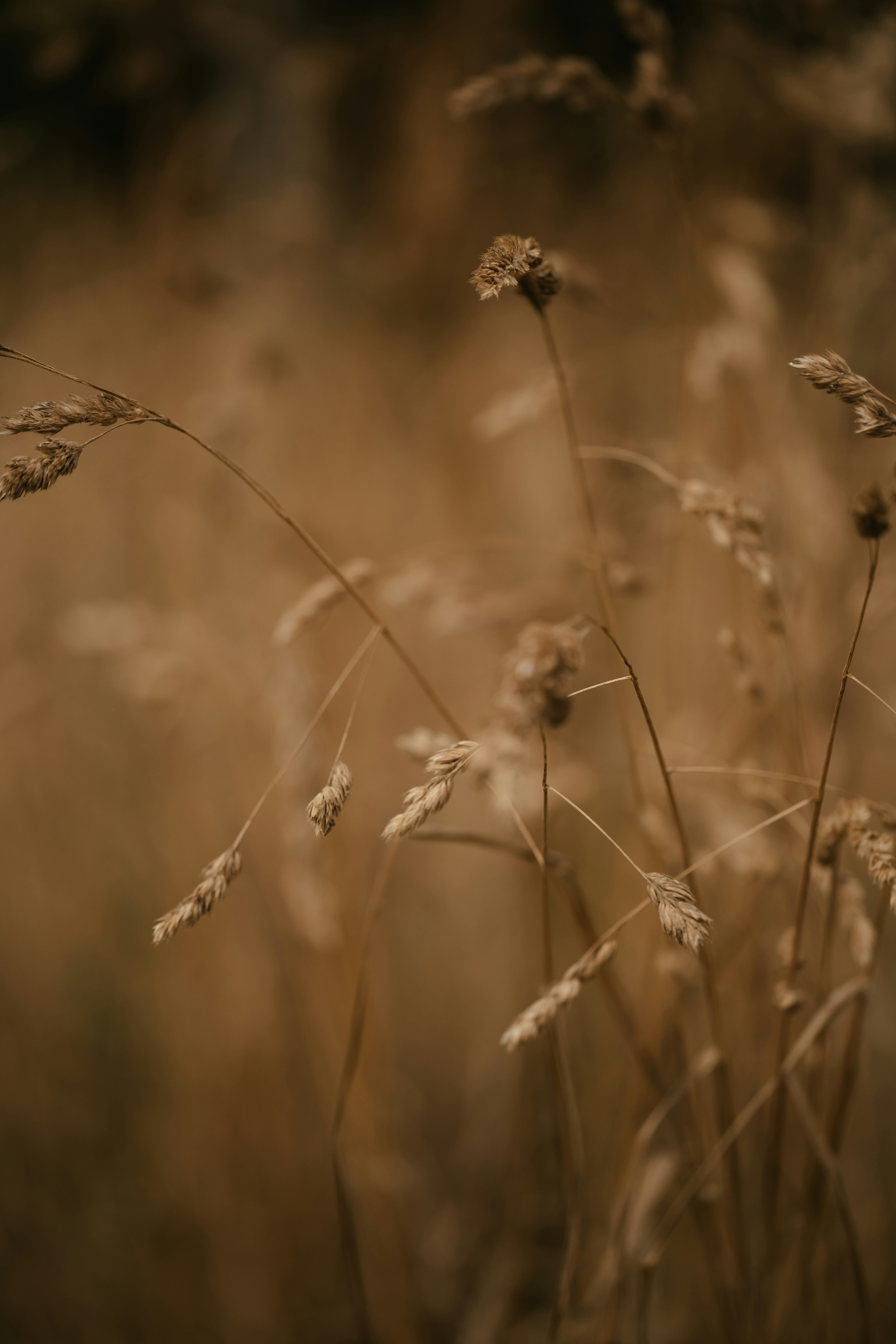 Photo by anniespratt