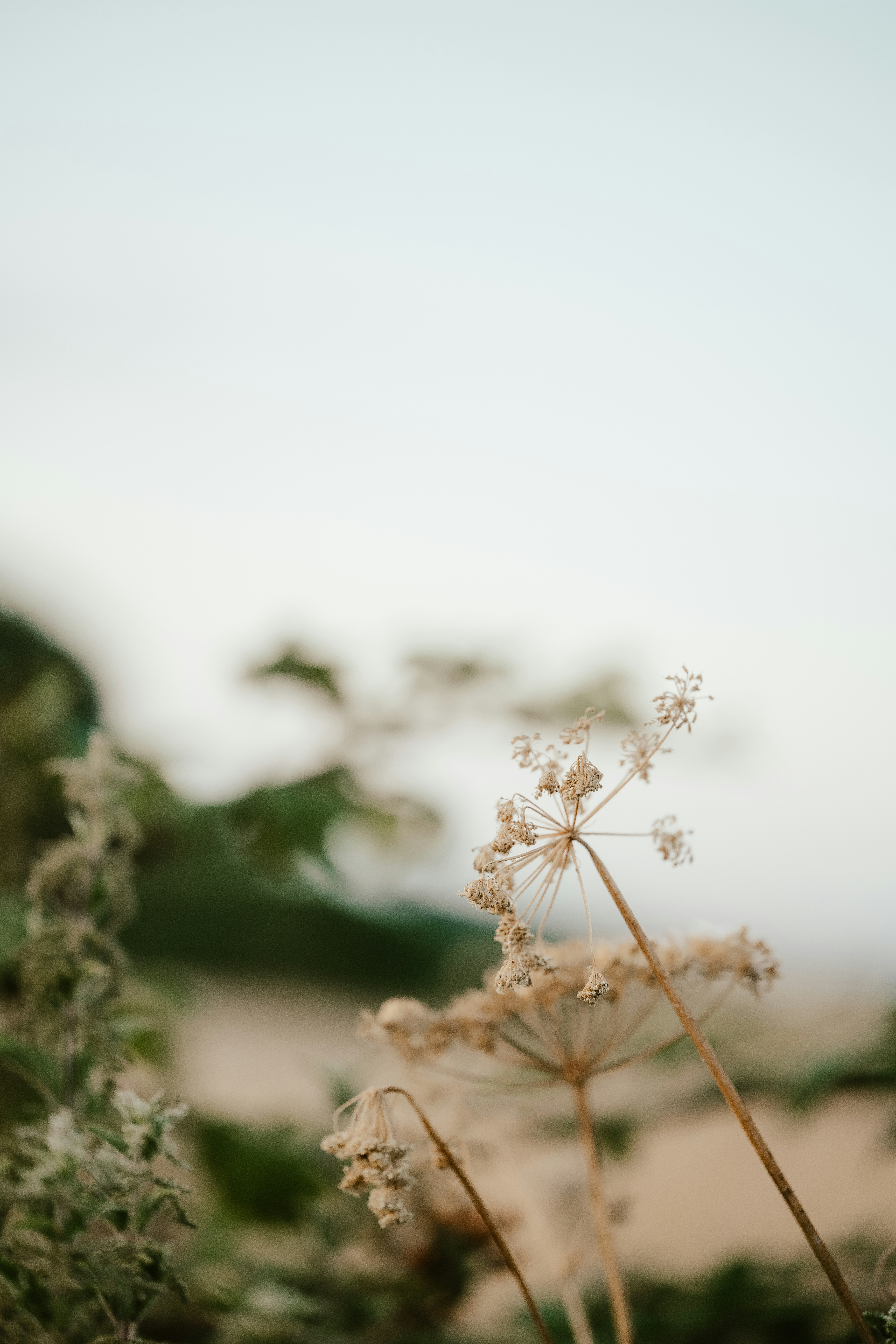 Photo by anniespratt