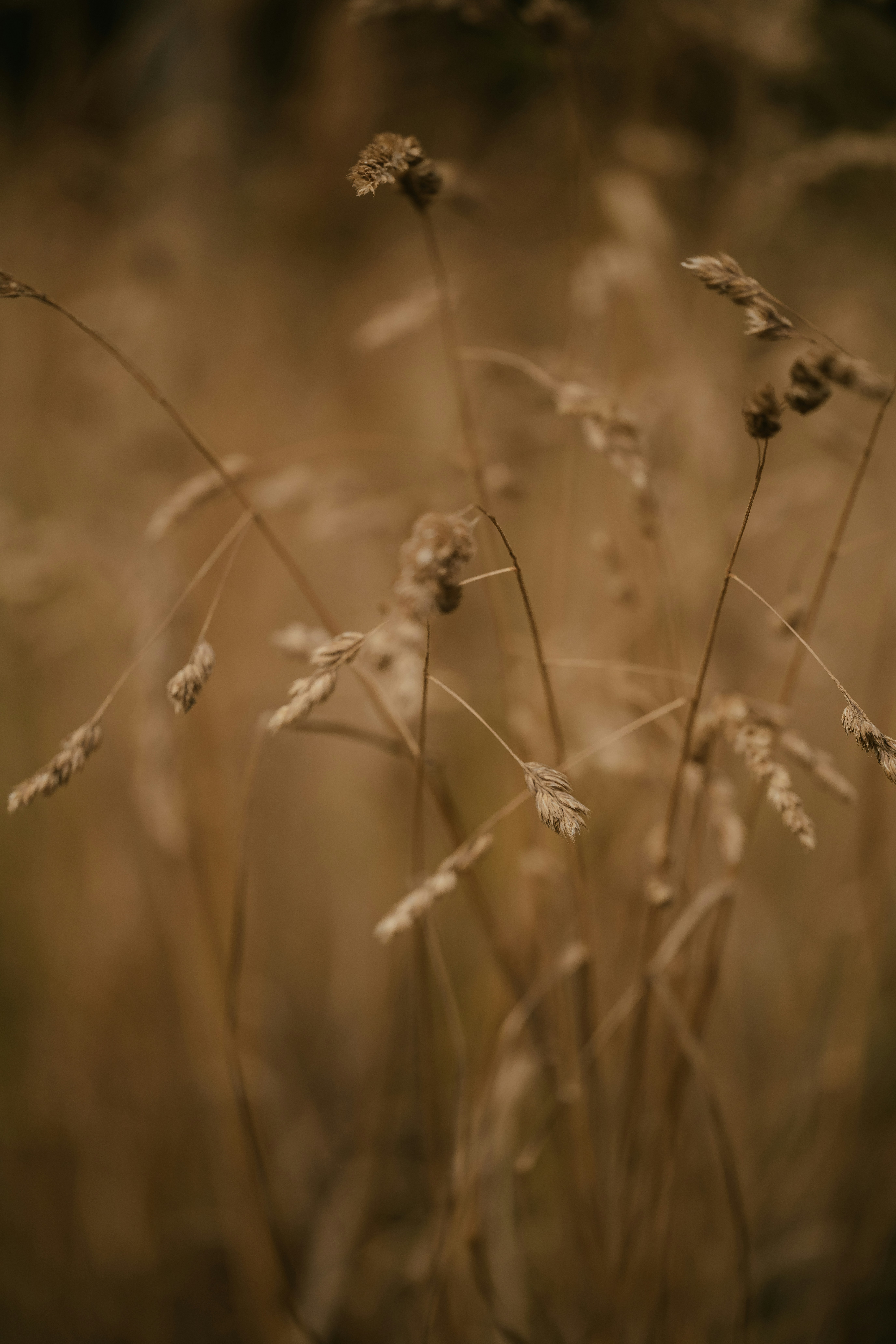 Photo by anniespratt