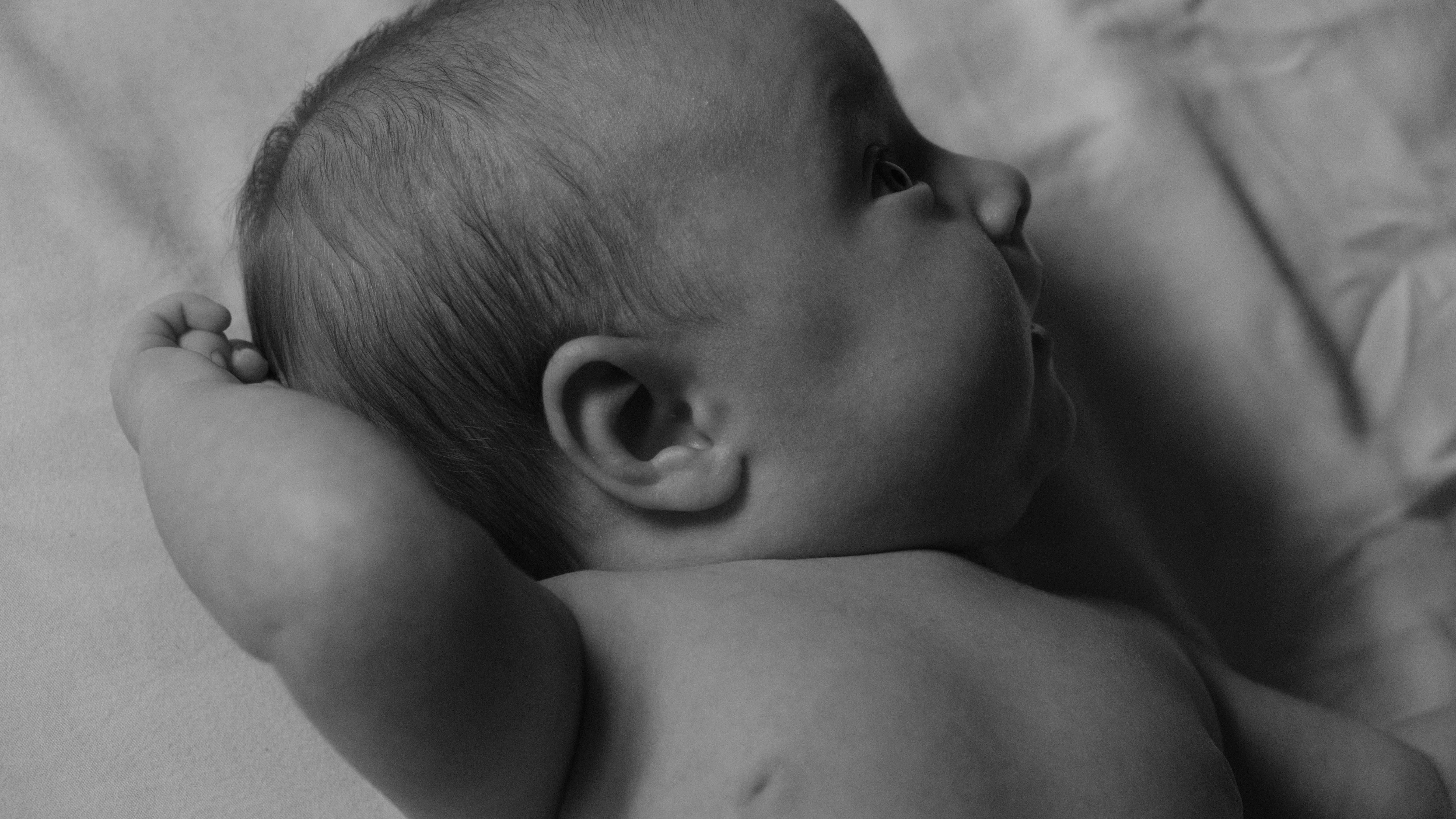 Photo by vandiakviktor