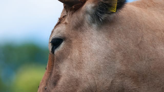 Angemessenheit