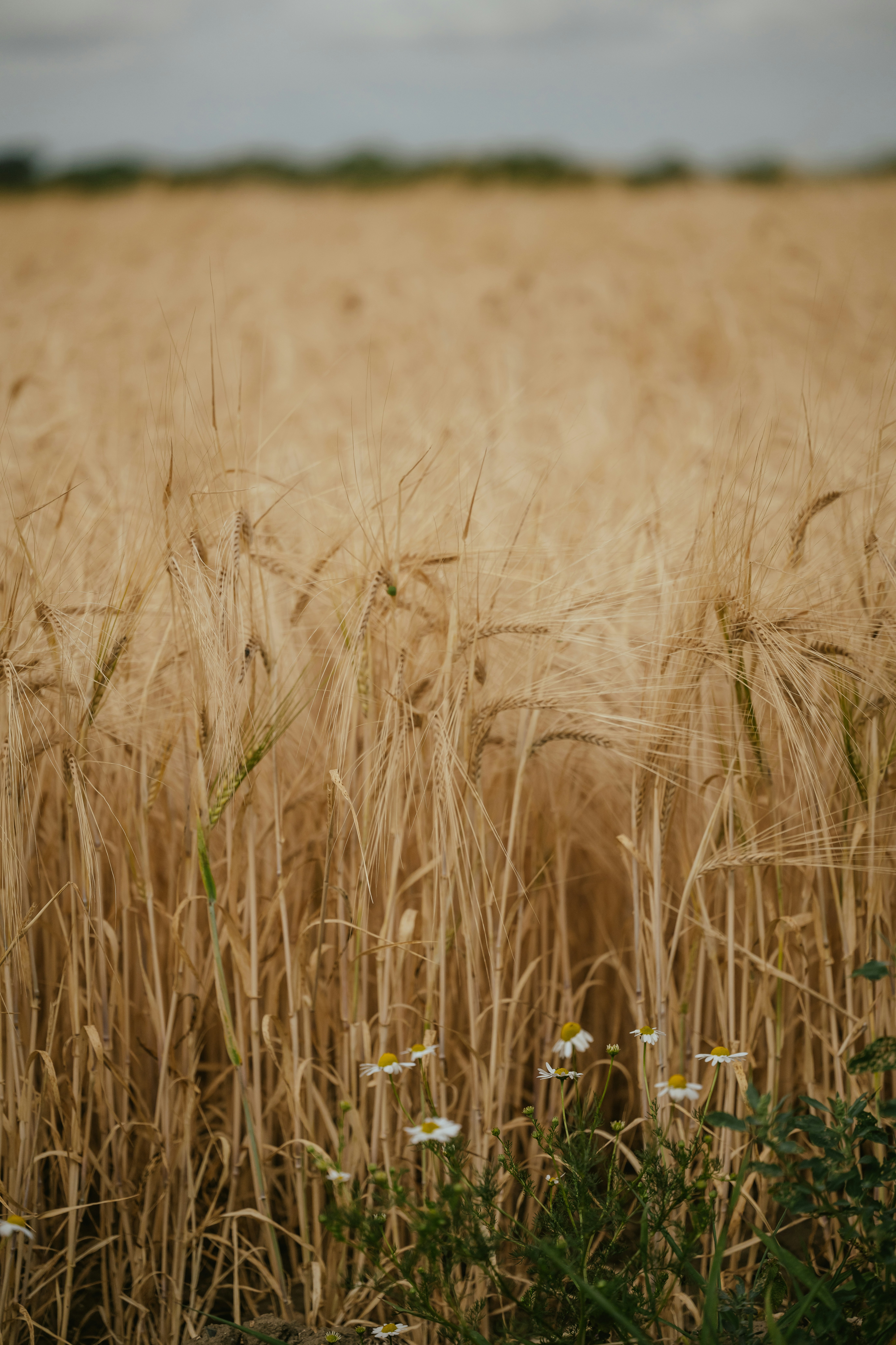 Photo by anniespratt